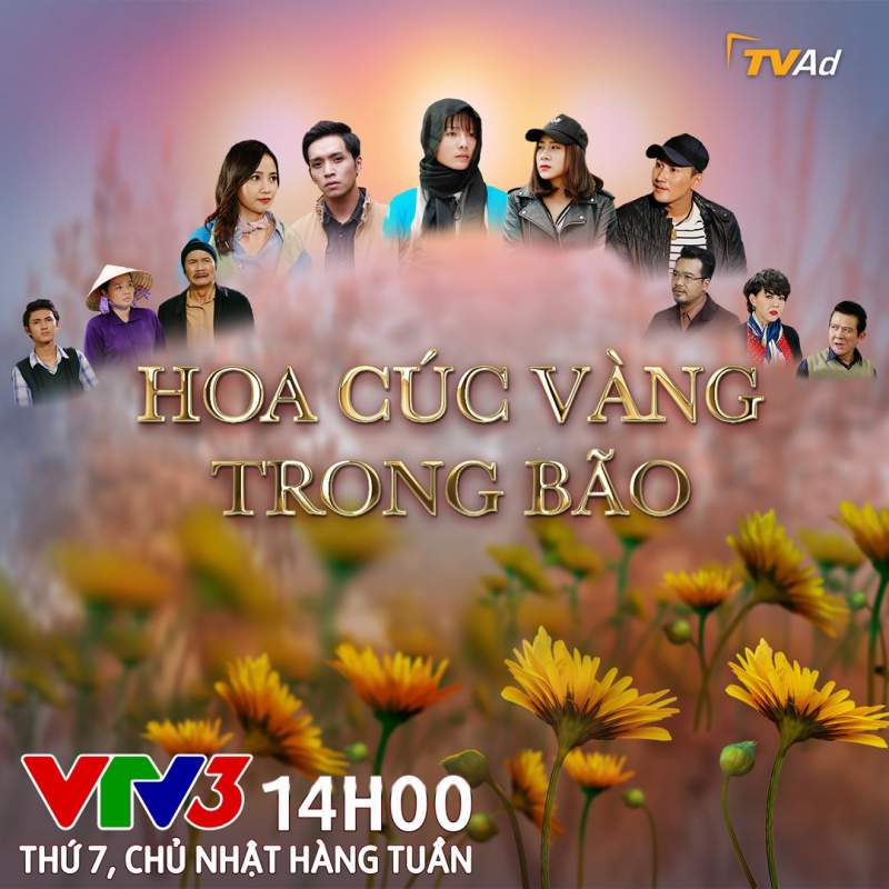 HOA CÚC VÀNG TRONG BÃO - LT