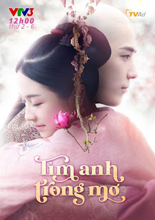 TÌM ANH TRONG MƠ - LT