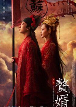 Ở Rể: Cát Hưng Cao Chiếu