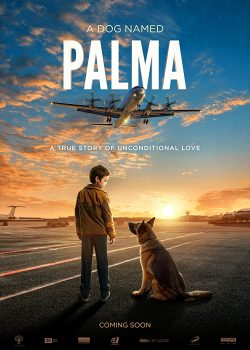 Chú Chó Palma