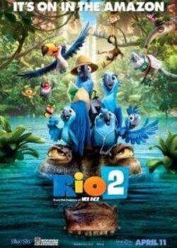 Chú Vẹt Rio 2
