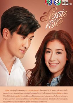 Hành Trình Của Con Tim