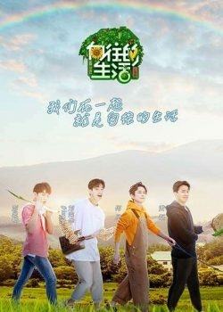Hướng Về Cuộc Sống (Mùa 4)