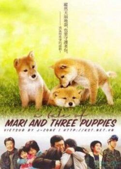 Mari Và 3 Chú Chó Nhỏ