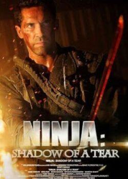 Ninja Báo Thù