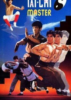 Thái Cực Túy Quyền